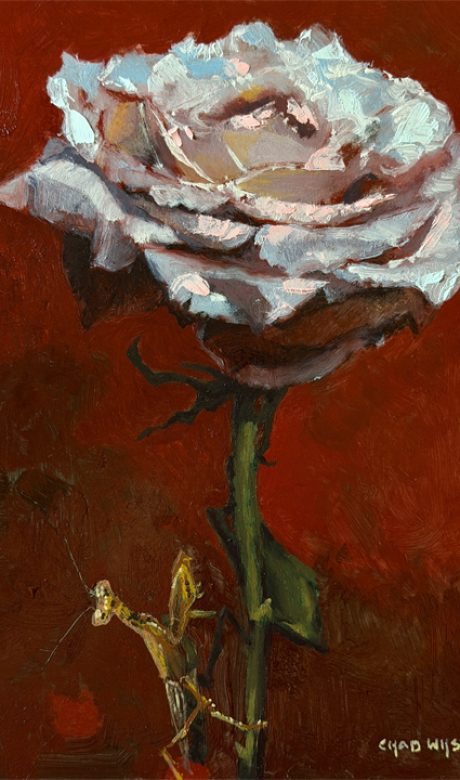 Capture and Release: Patience… and Waiting